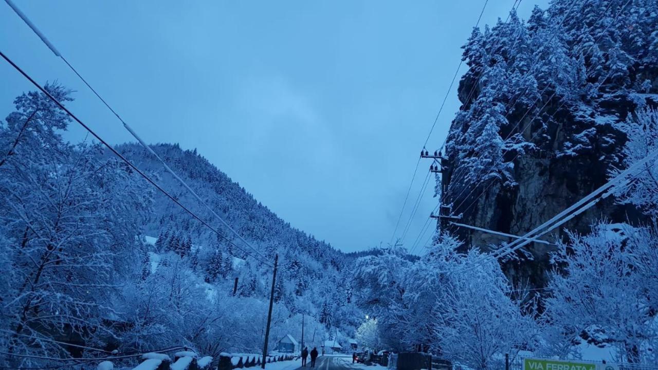 Casa Bicajeanului - Kızıl Göl Dış mekan fotoğraf