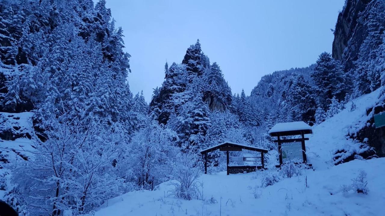Casa Bicajeanului - Kızıl Göl Dış mekan fotoğraf